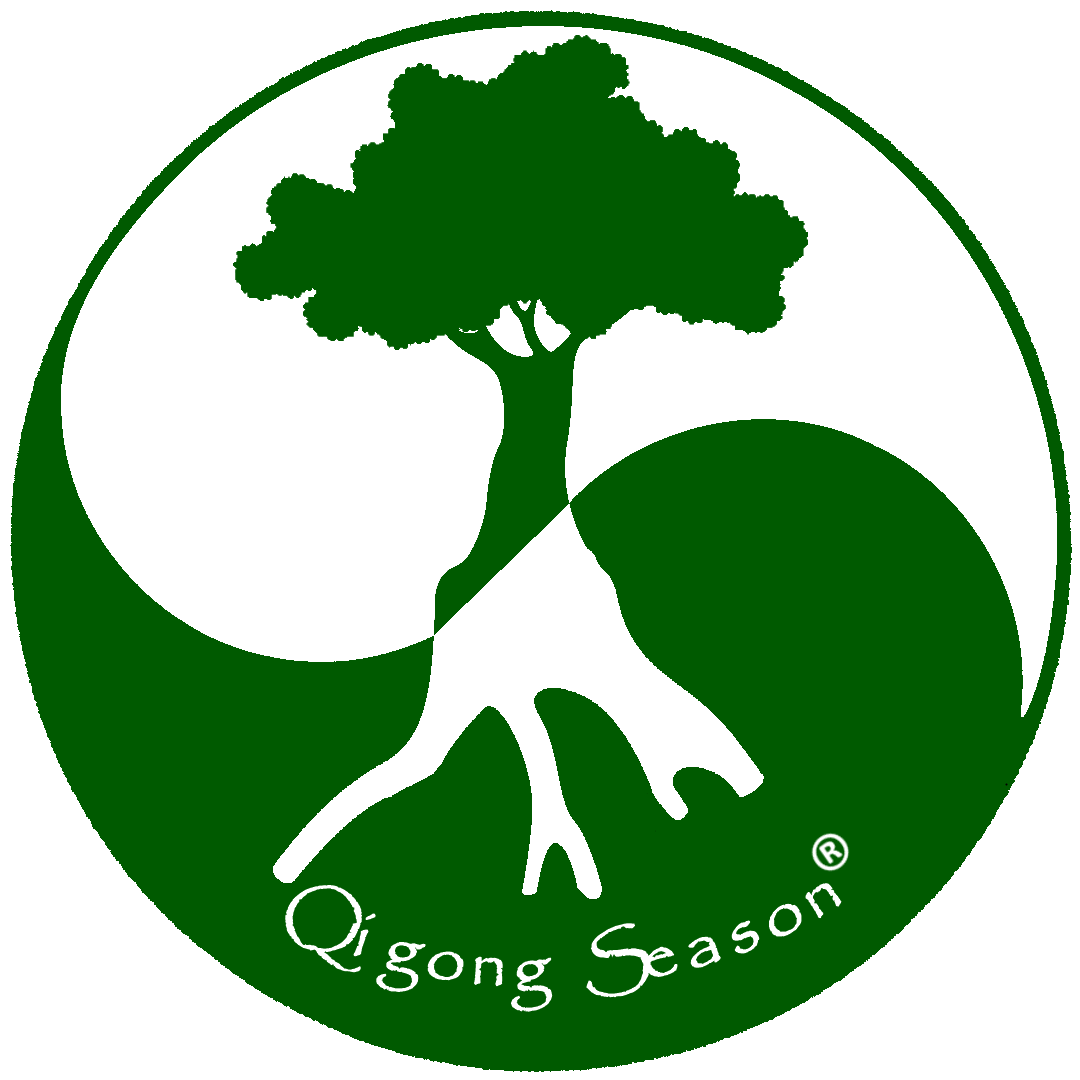 You are currently viewing Mein Qi-Baum